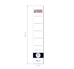 Level Arch File Labels 30 x 190 mm, 10 pcs