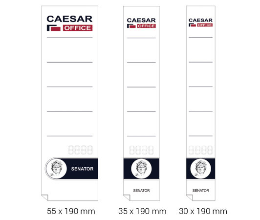 Level Arch File Labels 60x190 Refilled glue, for 80 mm spines 10pcs 