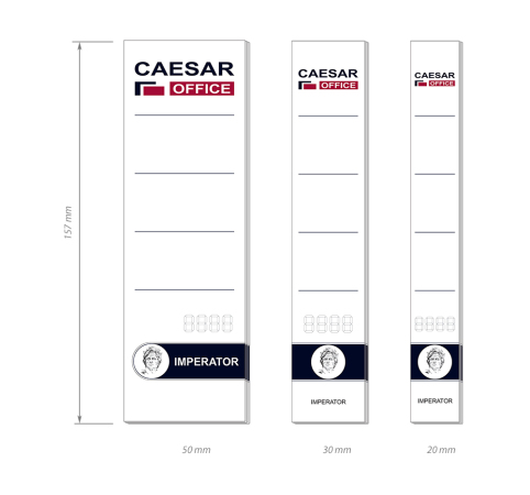 Level Arch File Labels 30 x 157 mm, 10 pcs